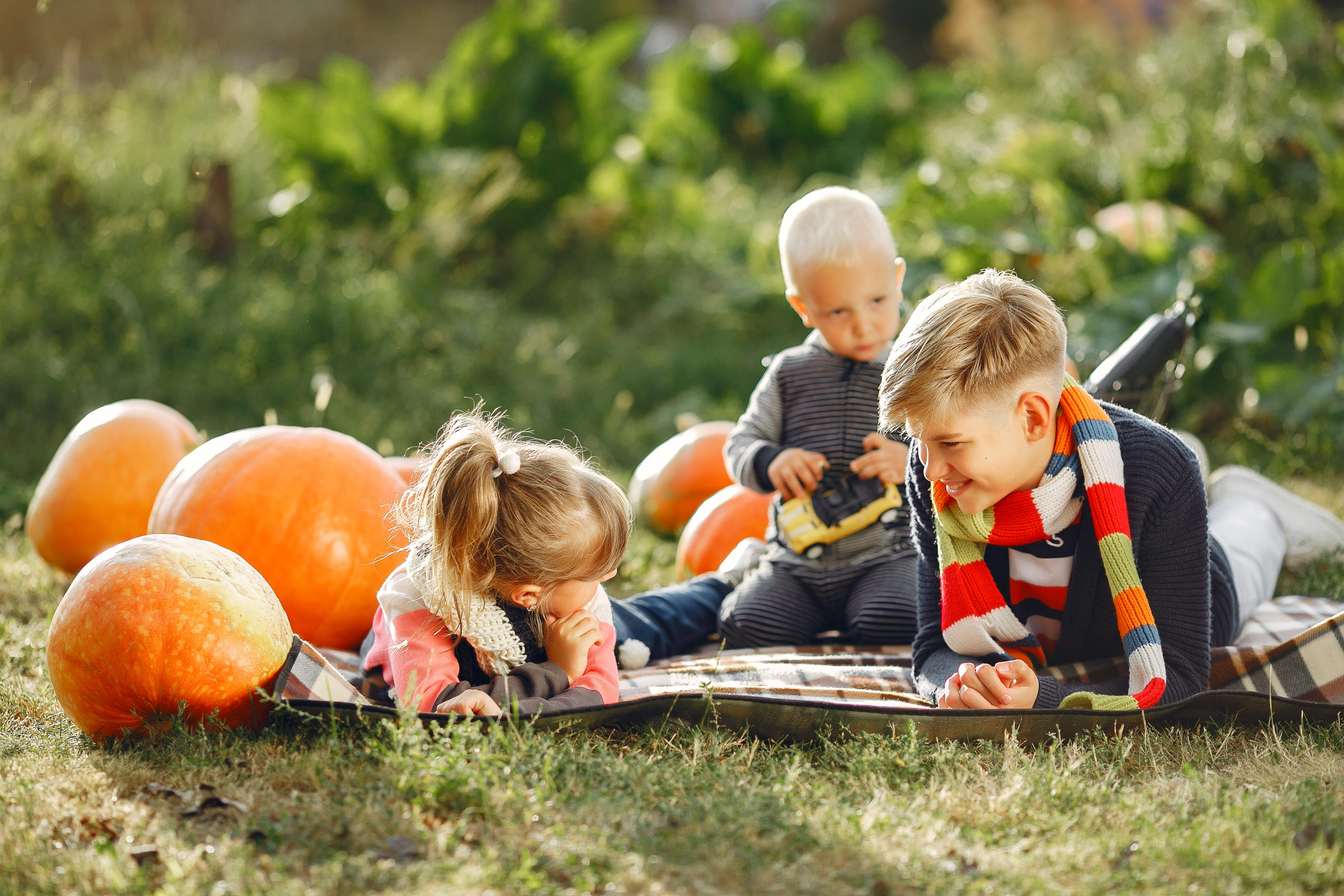 Cute childresn sitting on a garden near many pumpkins
